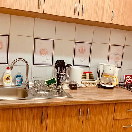 Ultracentral Apartment With All You Need: Wifi, Tv, Ac, Washer, Coffe Timișoara Zewnętrze zdjęcie