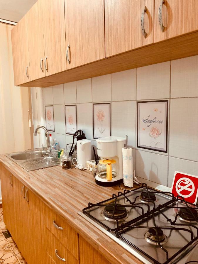 Ultracentral Apartment With All You Need: Wifi, Tv, Ac, Washer, Coffe Timișoara Zewnętrze zdjęcie