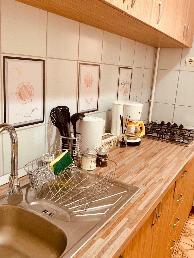 Ultracentral Apartment With All You Need: Wifi, Tv, Ac, Washer, Coffe Timișoara Zewnętrze zdjęcie