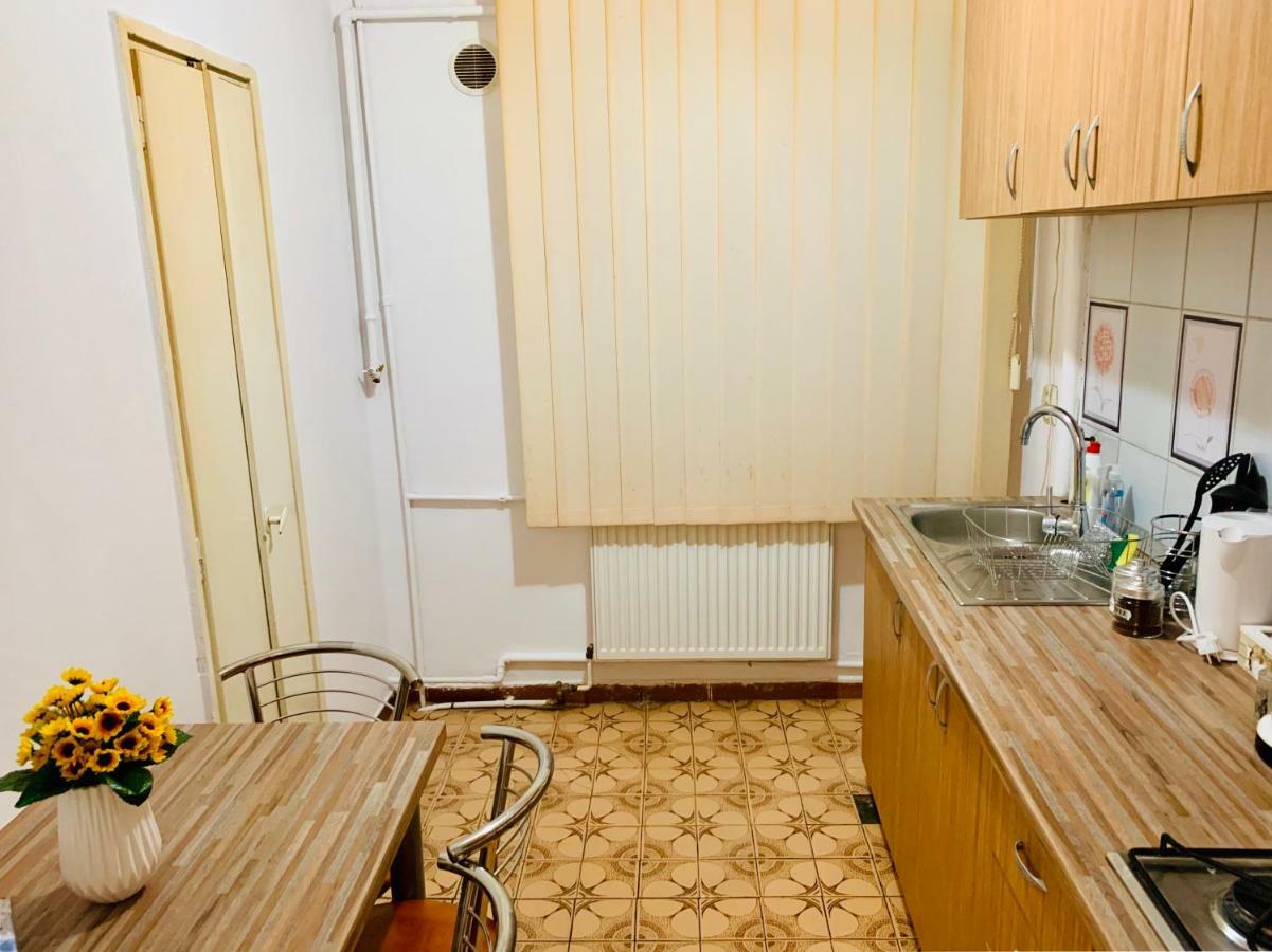 Ultracentral Apartment With All You Need: Wifi, Tv, Ac, Washer, Coffe Timișoara Zewnętrze zdjęcie