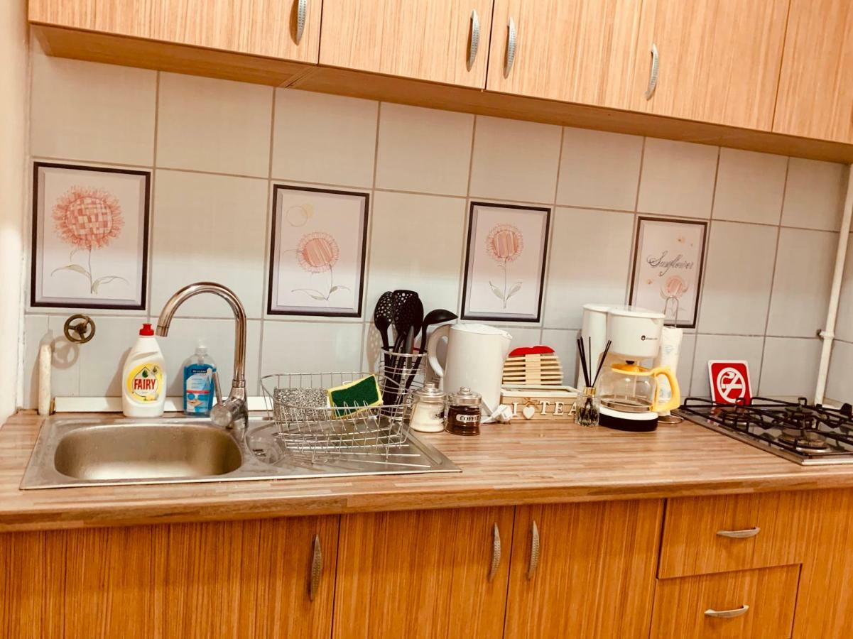 Ultracentral Apartment With All You Need: Wifi, Tv, Ac, Washer, Coffe Timișoara Zewnętrze zdjęcie
