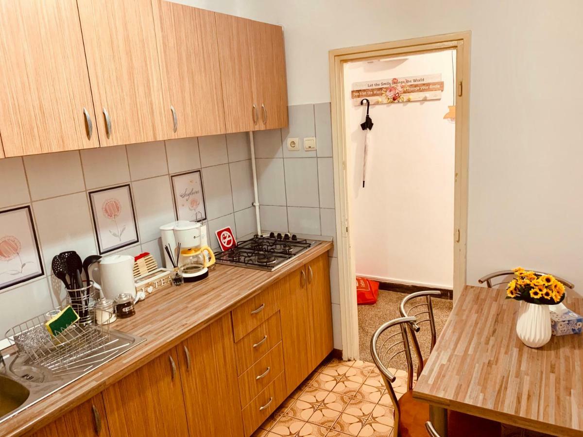 Ultracentral Apartment With All You Need: Wifi, Tv, Ac, Washer, Coffe Timișoara Zewnętrze zdjęcie